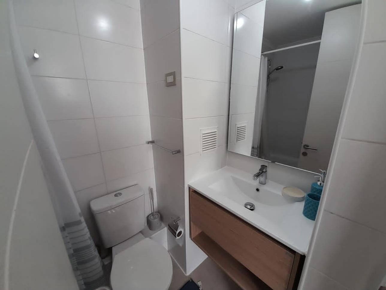 Arriendo Diario Departamento Ls Apartamento